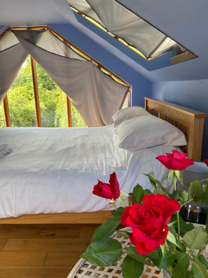 Ralph'S Barn Villa Newport  Eksteriør billede